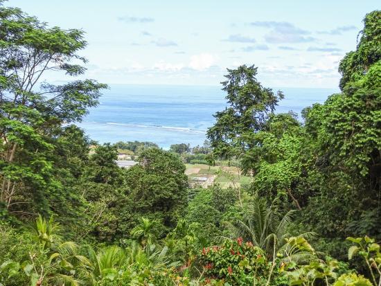 Le Jardin Du Roi Spice Garden